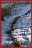 SNOW CROSS 29.12.2009
